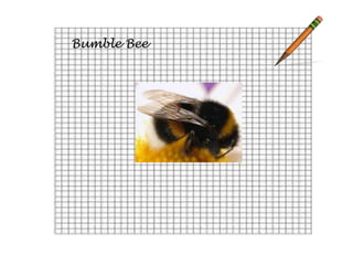 Bumble Bee
 