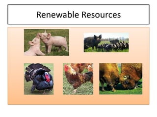 Renewable Resources
 