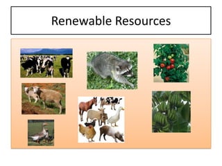 Renewable Resources
 