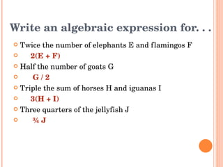 Write an algebraic expression for. . . Twice the number of elephants E and flamingos F 2(E + F) Half the number of goats G G / 2 Triple the sum of horses H and iguanas I 3(H + I) Three quarters of the jellyfish J ¾ J 