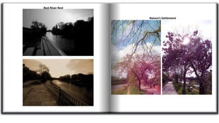 Nature’s Settlement
Rest River Rest
 