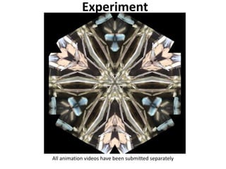 Experiment
All animation videos have been submitted separately
 