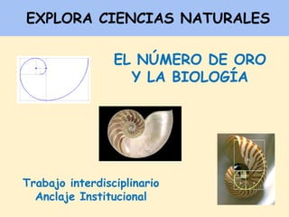 EXPLORA CIENCIAS NATURALES
EL NÚMERO DE ORO
Y LA BIOLOGÍA

Trabajo interdisciplinario
Anclaje Institucional

 