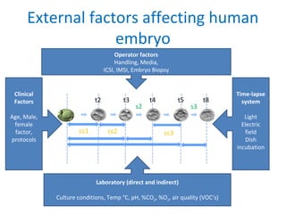 External factors affecting human
embryo
Operator factors
Handling, Media,
ICSI, IMSI, Embryo Biopsy
Clinical
Factors
Age, Male,
female
factor,
protocols
Time-lapse
system
Light
Electric
field
Dish
incubation
Laboratory (direct and indirect)
Culture conditions, Temp °C, pH, %CO2, %O2, air quality (VOC’s)
t2 t3 t4 t5 t8
cc1 cc2 cc3
s2 s3
 