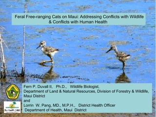 Feral Free-ranging Cats on Maui: Addressing Conflicts with Wildlife & Conflicts with Human Health  Fern P. Duvall II,  Ph.D.,  Wildlife Biologist,  Department of Land & Natural Resources, Division of Forestry & Wildlife, Maui District  and Lorrin  W. Pang, MD., M.P.H.,  District Health Officer Department of Health, Maui  District 