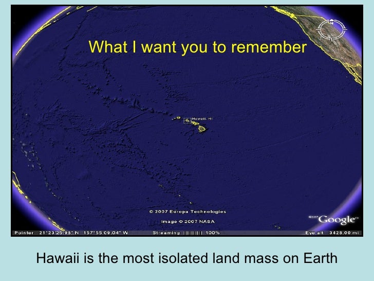 Feral FreeRanging Cats on Maui