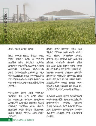 ታሳቢ ተደርጎ የተገነባ ነው፡፡
ከዚህ ዘመናዊ የስኳር ፋብሪካ ተረፈ
ምርት በዓመት እስከ 12 ሚሊዮን
800ሺህ ሊትር የሚደርስ ኤታኖል
ለማምረት የሚያስችል የኤታኖል ፋብሪካ
ለመገንባት ታቅዷል፡፡ የኤሌክትሪክ
ኃይል በማመንጨት ረገድም 31 ሜጋ
ዋት የኤሌክትሪክ ኃይል በማመንጨት 11
ሜጋ ዋቱን ለራሱ ተጠቅሞ፣ ቀሪውን 20
ሜጋ ዋት ለብሔራዊ የኃይል ቋት እያስገባ
ይገኛል፡፡
የፋብሪካው የአገዳ እርሻ ማስፋፊያ
ፕሮጀክት ዋቄ ጢዮ፣ ሰሜን ዶዶታ
እና ወለንጪቲ ተብለው በሚታወቁ
አካባቢዎች እየተካሄደ ይገኛል፡፡ የእርሻ
ማስፋፊያ ፕሮጀክቱ ሙሉ በሙሉ
ሲጠናቀቅ አዲሱ ፋብሪካ በአጠቃላይ
16ሺህ ሄክታር የሸንኮራ አገዳ መሬት
ይኖረዋል፡፡
በአሁኑ ወቅት ከለማው 12ሺህ 800
ሄክታር የሸንኮራ አገዳ መሬት ውስጥ
7ሺህ ሄክታሩ በፋብሪካው አካባቢ
በሚገኙ በ32 የሸንኮራ አገዳ አብቃይና
አቅራቢ ማኀበራት በታቀፉ 9ሺህ
100 አርሶ አደር አባላት የለማ ነው፡፡
በዚህም አባላቱ በሚያገኙት ከፍተኛ ገቢ
ከልማቱ ተጠቃሚ ሆነዋል፡፡ ለአብነት
በአንዳንድ ማህበራት በአማካይ በየ18
ወራት በሚደረግ የትርፍ ክፍፍል አባላት
እንደየስራቸው መጠን በነፍስ ወከፍ
ከ50ሺህ እስከ 240ሺህ ብር ድረስ ገቢ
ያገኙበትን አጋጣሚ መጥቀስ ይቻላል፡፡
ፋብሪካው ለአርሶ አደሮቹ በመስኖ የለማ
መሬት በማዘጋጀት፣ የምርጥ ዘር አቅርቦት
በማመቻቸት፣ ሙያዊና ቴክኒካዊ
ድጋፍ በመስጠት አርሶ አደሮቹ ሸንኮራ
አገዳ አልምተው ለፋብሪካው በመሸጥ
ተጠቃሚ እንዲሆኑ ምቹ ሁኔታዎችን
ፈጥሯል፡፡
ወንጂሸዋስኳርፋብሪካ
16 የስኳር ኢንዱስትሪ በኢትዮጵያ
 