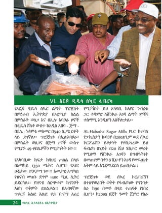 24 የስኳር ኢንዱስትሪ በኢትዮጵያ
የአርጆ ዲዴሳ ስኳር ልማት ፕሮጀክት
በምዕራብ ኢትዮጵያ በኦሮሚያ ክልል
በምስራቅ ወለጋ እና በኢሉ አባቦራ ዞኖች
በዲዴሳ ሸለቆ ውስጥ ከአዲስ አበባ - ጅማ -
በደሌ - ነቀምቴ መስመር በ540 ኪ.ሜ ርቀት
ላይ ይገኛል፡፡ ፕሮጀክቱ በኢሉአባቦራ፣
በምስራቅ ወለጋና በጅማ ዞኖች ውስጥ
የሚገኙ 49 ቀበሌዎችን የሚያካትት ነው፡፡
የአካባቢው ከፍታ ከባህር ጠለል በላይ
በአማካይ 1350 ሜትር ሲሆን፣ የአየር
ሁኔታው ሞቃታማ ነው፡፡ አመታዊ አማካይ
የዝናብ መጠኑ ደግሞ 1400 ሚሊ ሊትር
ይደርሳል፡፡ የዝናብ ስርጭቱም ከግንቦት
እስከ ጥቅምት ይዘልቃል፡፡ በአብዛኛው
ጥቁርና አልፎ አልፎ ቀይ ቡናማ አፈር
የሚገኝበት ይህ አካባቢ ከአየር ንብረቱ
ጋር ተዳምሮ ለሸንኮራ አገዳ ልማት ምቹና
ተስማሚ እንዲሆን አስችሎታል፡፡
AL-Habasha Sugar Mills PLC ከተባለ
የፓኪስታን ኩባንያ በ2005ዓ.ም ወደ ስኳር
ኮርፖሬሽን ይዞታነት የተሸጋገረው ይህ
ፋብሪካ በሂደት በ20 ሺህ ሄክታር መሬት
የሚለማ የሸንኮራ አገዳን በግብዓትነት
በመጠቀም በቀን 8 ሺህ ቶን አገዳ የመፍጨት
አቅም ላይ እንደሚደርስ ይጠበቃል፡፡
ፕሮጀክቱ ወደ ስኳር ኮርፖሬሽን
በተዘዋወረበት ወቅት የፋብሪካው የግንባታ
ስራ ከ90 በመቶ በላይ ተጠናቆ የነበረ
ሲሆን፣ ከ2005 በጀት ዓመት ጀምሮ የስራ
VI. አርጆ ዲዴሳ ስኳር ፋብሪካ
 