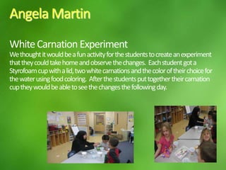 I read to the children Jack and the Beanstalk. This book was a pop up version that I had when I was younger.We got our hands dirty planting our own beanstalk to take home! The kids loved it!We then made our own beanstalks. Each beanstalk was unique with their own choices of color.* Activities planned for Friday  by Danelle Evans 