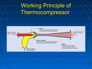 Working Principle ofWorking Principle of
ThermocompressorThermocompressor
 