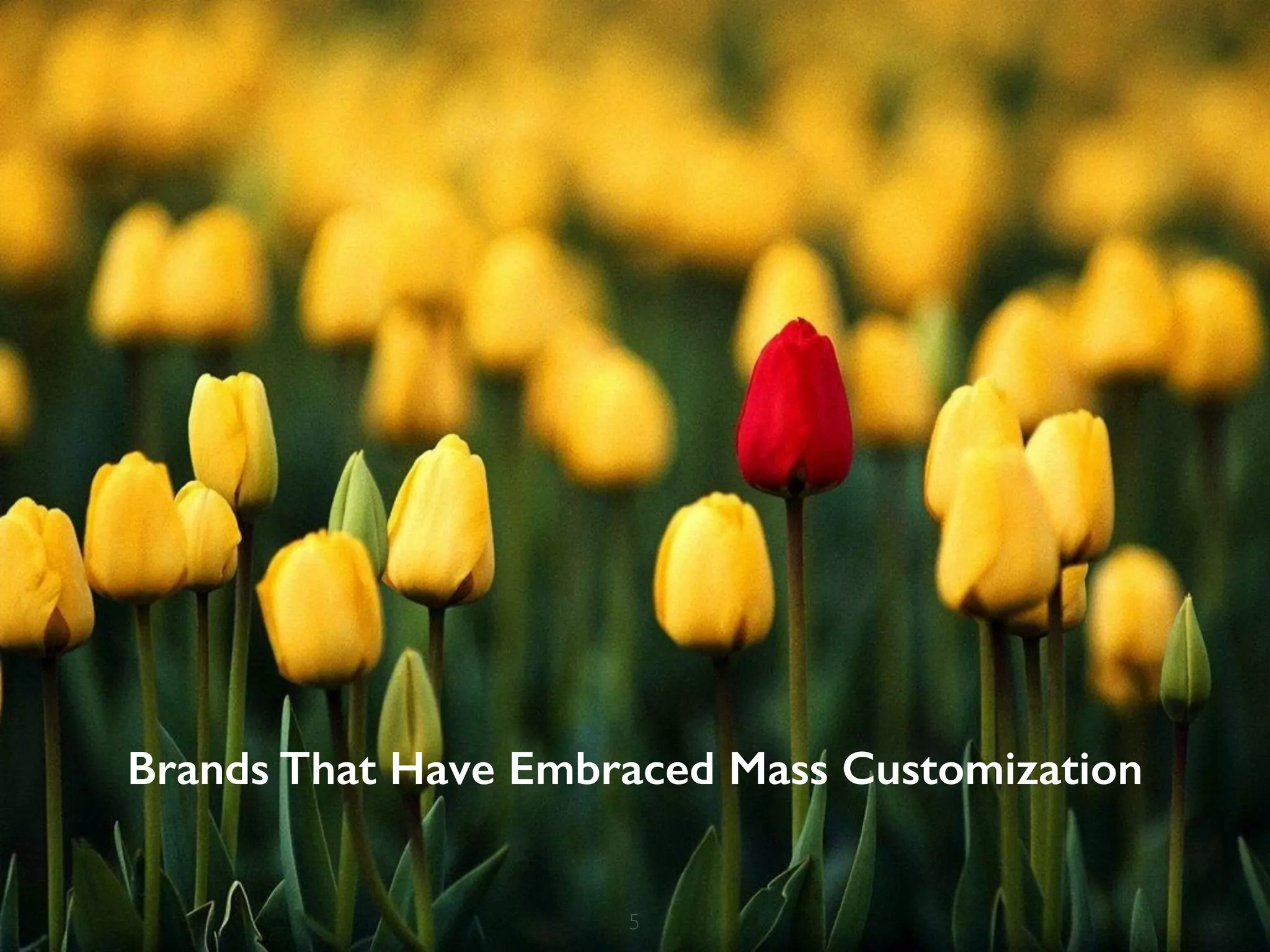 Brands That Have Embraced Mass Customization 
5 
 