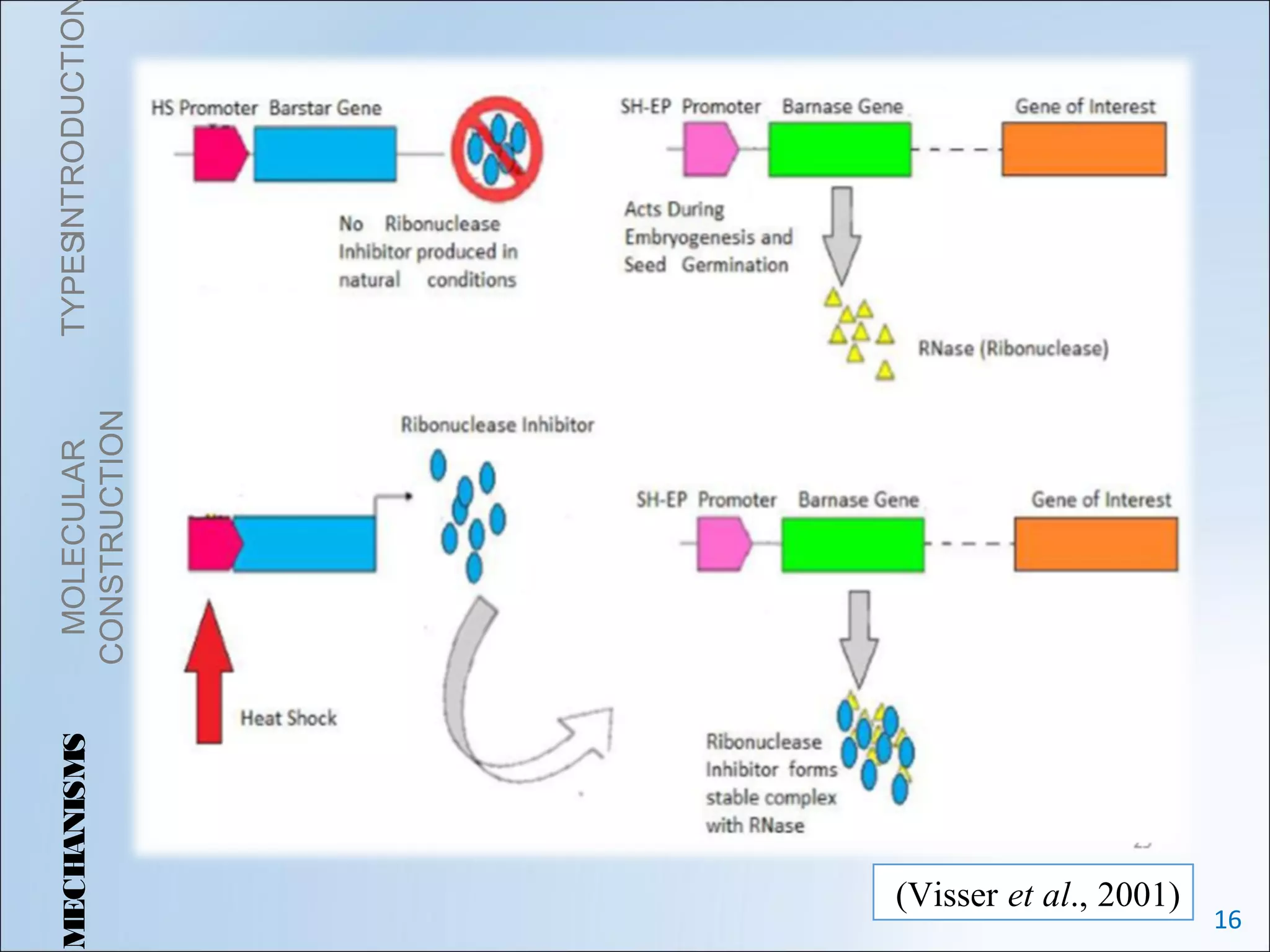use restriction technology ppt PPT