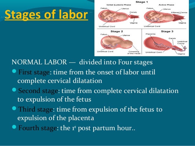 stages of labour