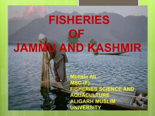 FISHERIES
OF
JAMMU AND KASHMIR
Mohsin Ali
MSC (F)
FISHERIES SCIENCE AND
AQUACULTURE
ALIGARH MUSLIM
UNIVERSITY
 
