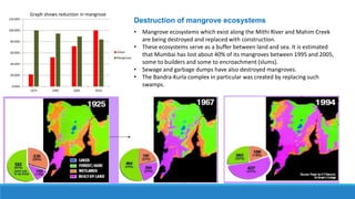 Destruction of mangrove ecosystems
• Mangrove ecosystems which exist along the Mithi River and Mahim Creek
are being destroyed and replaced with construction.
• These ecosystems serve as a buffer between land and sea. It is estimated
that Mumbai has lost about 40% of its mangroves between 1995 and 2005,
some to builders and some to encroachment (slums).
• Sewage and garbage dumps have also destroyed mangroves.
• The Bandra-Kurla complex in particular was created by replacing such
swamps.
Graph shows reduction in mangrove
 