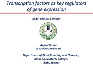 Transcription factors as key regulators of gene expression | PPT