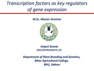 Transcription factors as key regulators
of gene expression
M.Sc. Master Seminar
Anjani Kumar
(BAC/M/PBG/003/15-16)
Department of Plant Breeding and Genetics,
Bihar Agricultural College,
BAU, Sabour
 