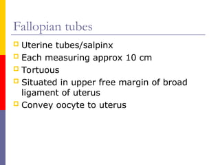 Salping Comprehensive Anatomy and Clinical Overview of the Female Reproductive ...