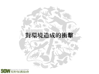 對環境造成的衝擊
 