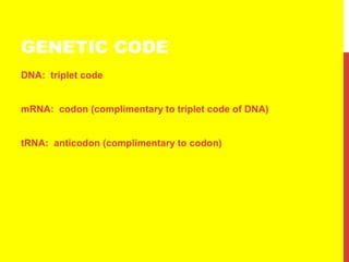 GENETIC CODE
DNA: triplet code
mRNA: codon (complimentary to triplet code of DNA)
tRNA: anticodon (complimentary to codon)
 