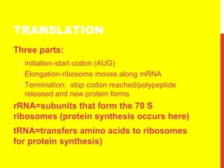 TRANSLATION
Three parts:
• Initiation-start codon (AUG)
• Elongation-ribosome moves along mRNA
• Termination: stop codon reached/polypeptide
released and new protein forms
rRNA=subunits that form the 70 S
ribosomes (protein synthesis occurs here)
tRNA=transfers amino acids to ribosomes
for protein synthesis)
 