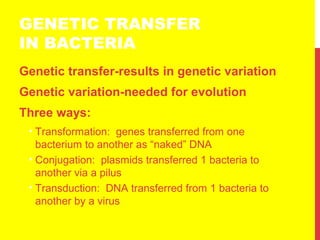 GENETIC TRANSFER
IN BACTERIA
Genetic transfer-results in genetic variation
Genetic variation-needed for evolution
Three ways:
• Transformation: genes transferred from one
bacterium to another as “naked” DNA
• Conjugation: plasmids transferred 1 bacteria to
another via a pilus
• Transduction: DNA transferred from 1 bacteria to
another by a virus
 