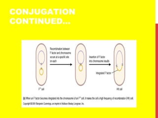 CONJUGATION
CONTINUED…
 