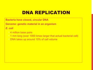 DNA REPLICATION
Bacteria have closed, circular DNA
Genome: genetic material in an organism
E. coli
• 4 million base pairs
• 1 mm long (over 1000 times larger that actual bacterial cell)
• DNA takes up around 10% of cell volume
 