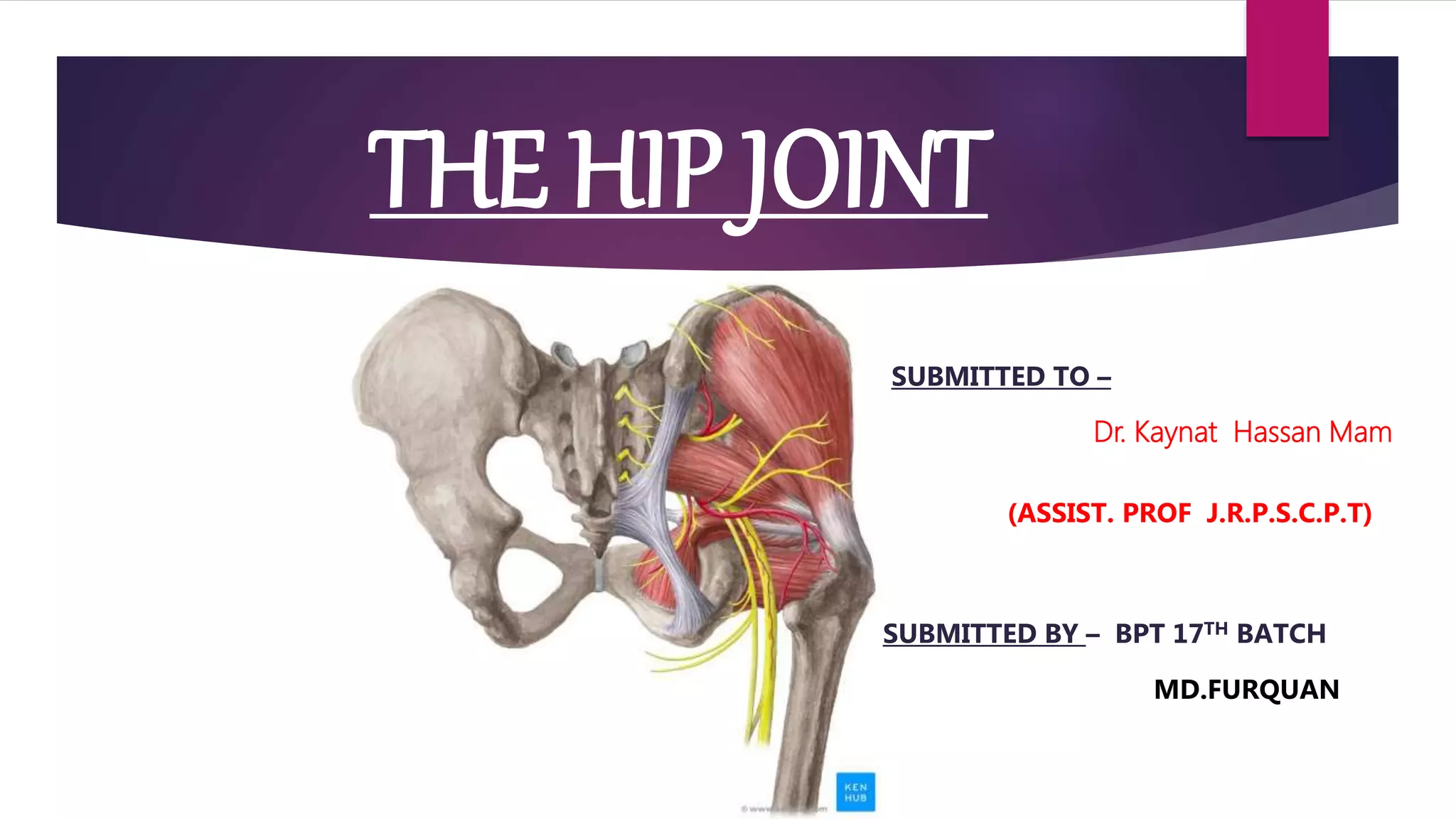 biomechanics of hip joint | PPT