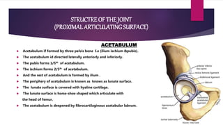 biomechanics of hip joint | PPTX