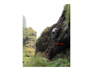 New?Ladder?
 