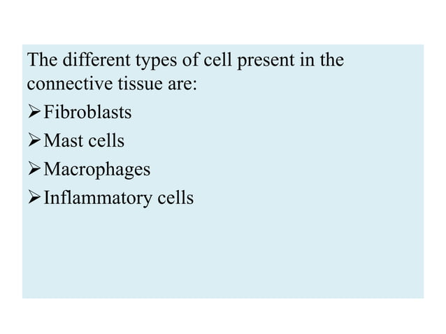 gingival connective tissue | PPTX | Dental Health | Diseases and Conditions