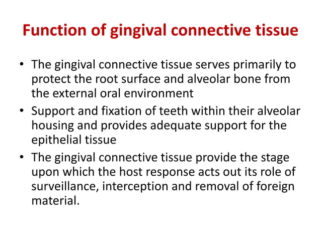 gingival connective tissue | PPTX | Dental Health | Diseases and Conditions