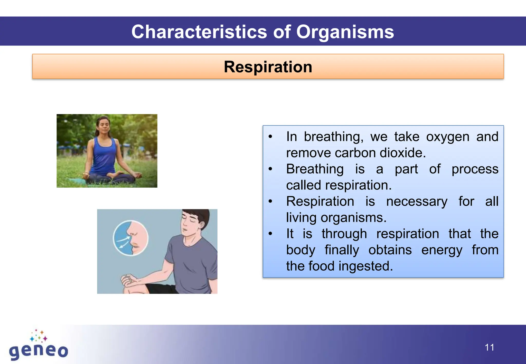11
Characteristics of Organisms
Respiration
• In breathing, we take oxygen and
remove carbon dioxide.
• Breathing is a part of process
called respiration.
• Respiration is necessary for all
living organisms.
• It is through respiration that the
body finally obtains energy from
the food ingested.
 