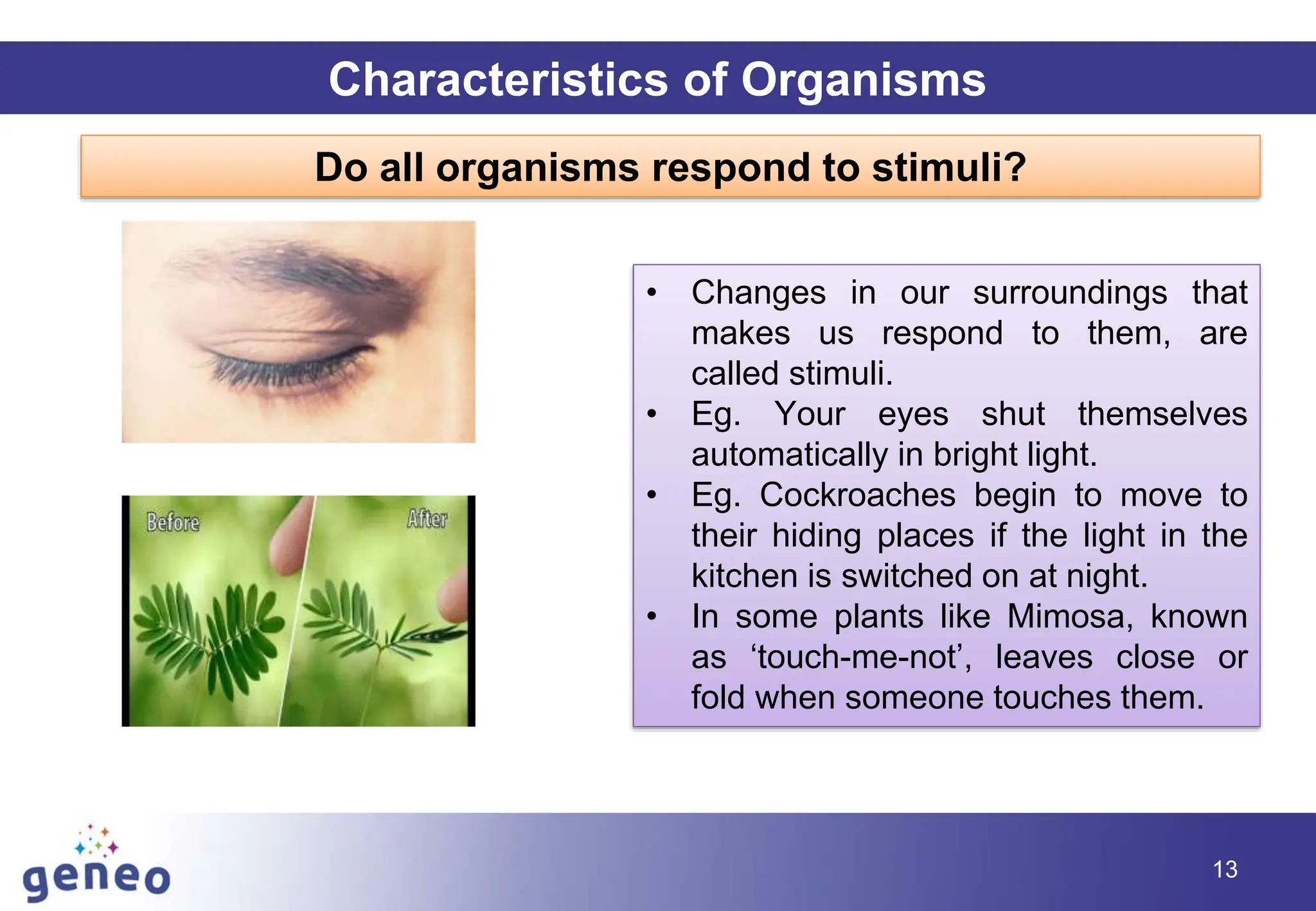 13
Characteristics of Organisms
Do all organisms respond to stimuli?
• Changes in our surroundings that
makes us respond to them, are
called stimuli.
• Eg. Your eyes shut themselves
automatically in bright light.
• Eg. Cockroaches begin to move to
their hiding places if the light in the
kitchen is switched on at night.
• In some plants like Mimosa, known
as ‘touch-me-not’, leaves close or
fold when someone touches them.
 
