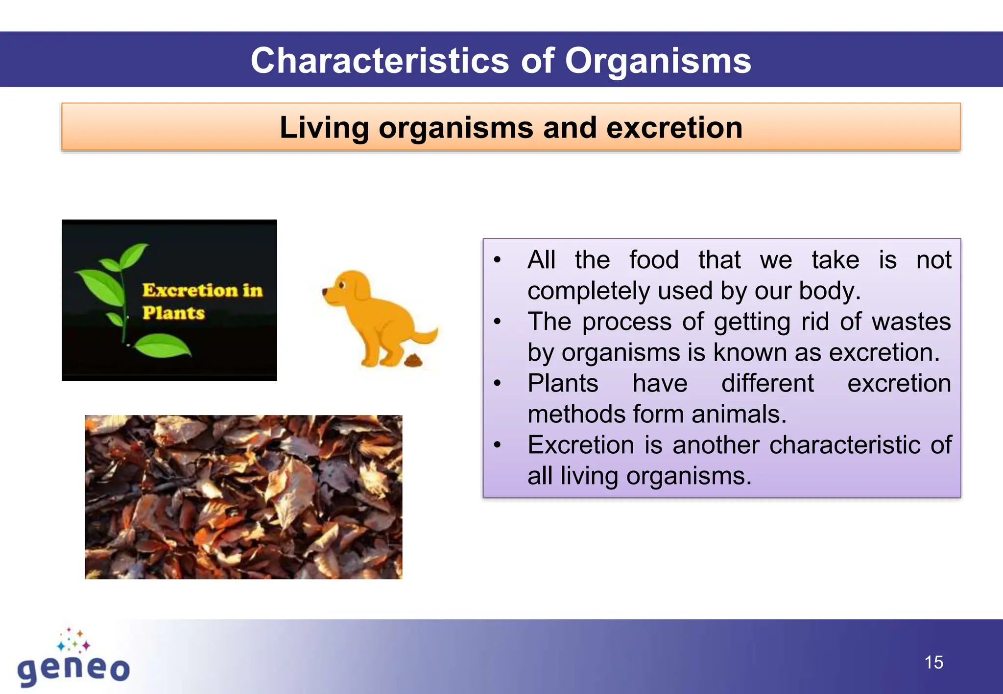 15
Characteristics of Organisms
Living organisms and excretion
• All the food that we take is not
completely used by our body.
• The process of getting rid of wastes
by organisms is known as excretion.
• Plants have different excretion
methods form animals.
• Excretion is another characteristic of
all living organisms.
 