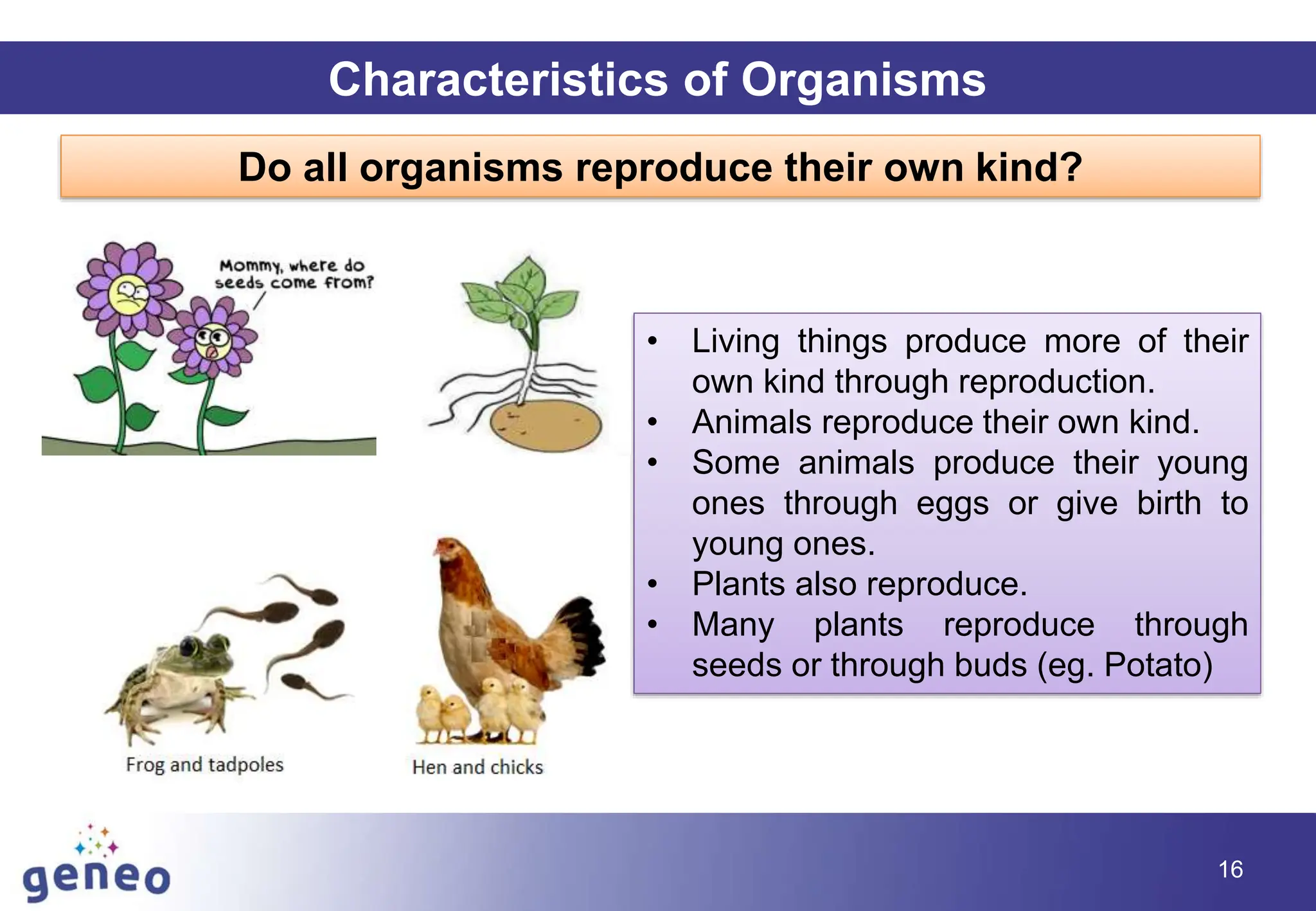 16
Characteristics of Organisms
Do all organisms reproduce their own kind?
• Living things produce more of their
own kind through reproduction.
• Animals reproduce their own kind.
• Some animals produce their young
ones through eggs or give birth to
young ones.
• Plants also reproduce.
• Many plants reproduce through
seeds or through buds (eg. Potato)
 