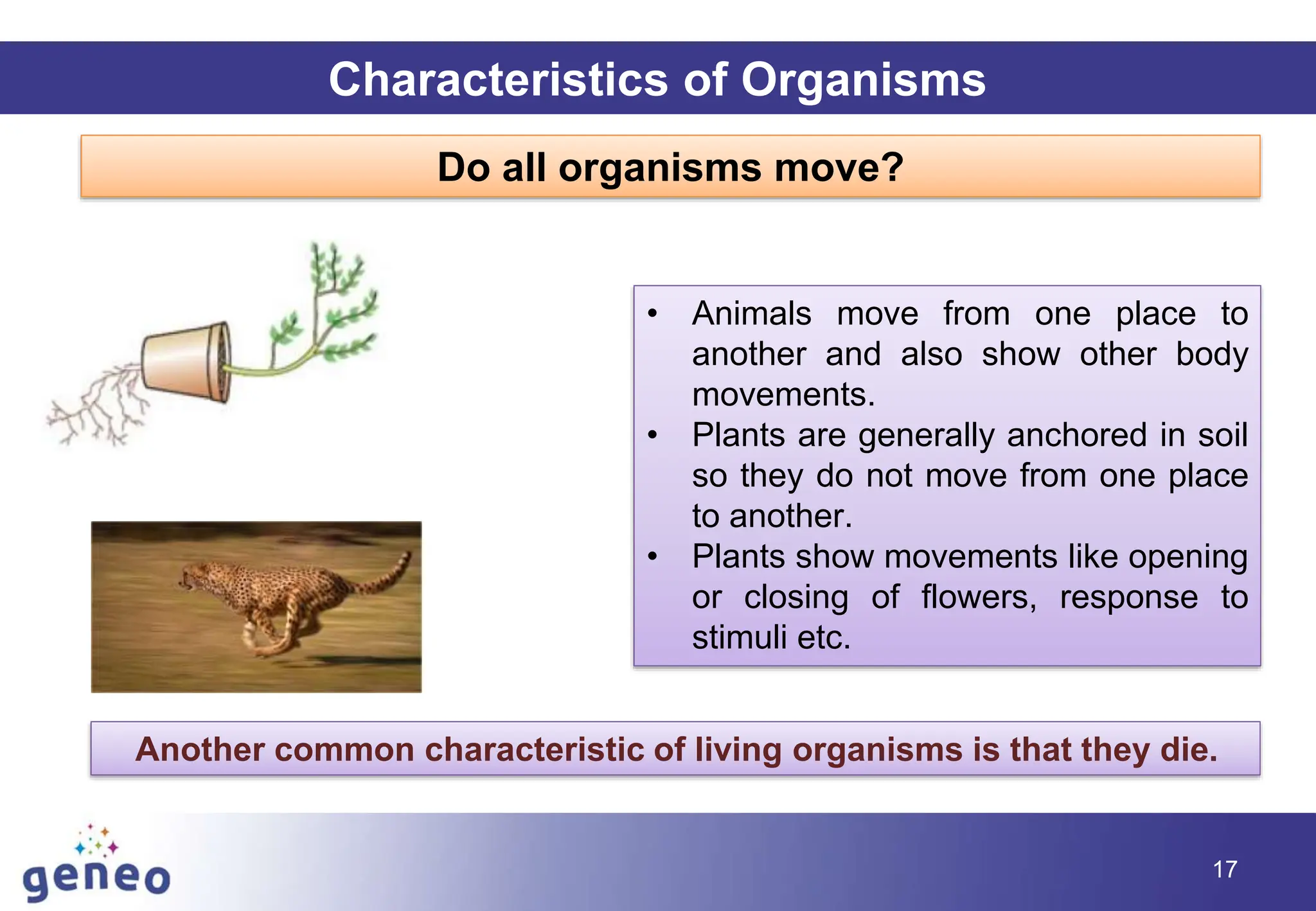 17
Characteristics of Organisms
Do all organisms move?
• Animals move from one place to
another and also show other body
movements.
• Plants are generally anchored in soil
so they do not move from one place
to another.
• Plants show movements like opening
or closing of flowers, response to
stimuli etc.
Another common characteristic of living organisms is that they die.
 