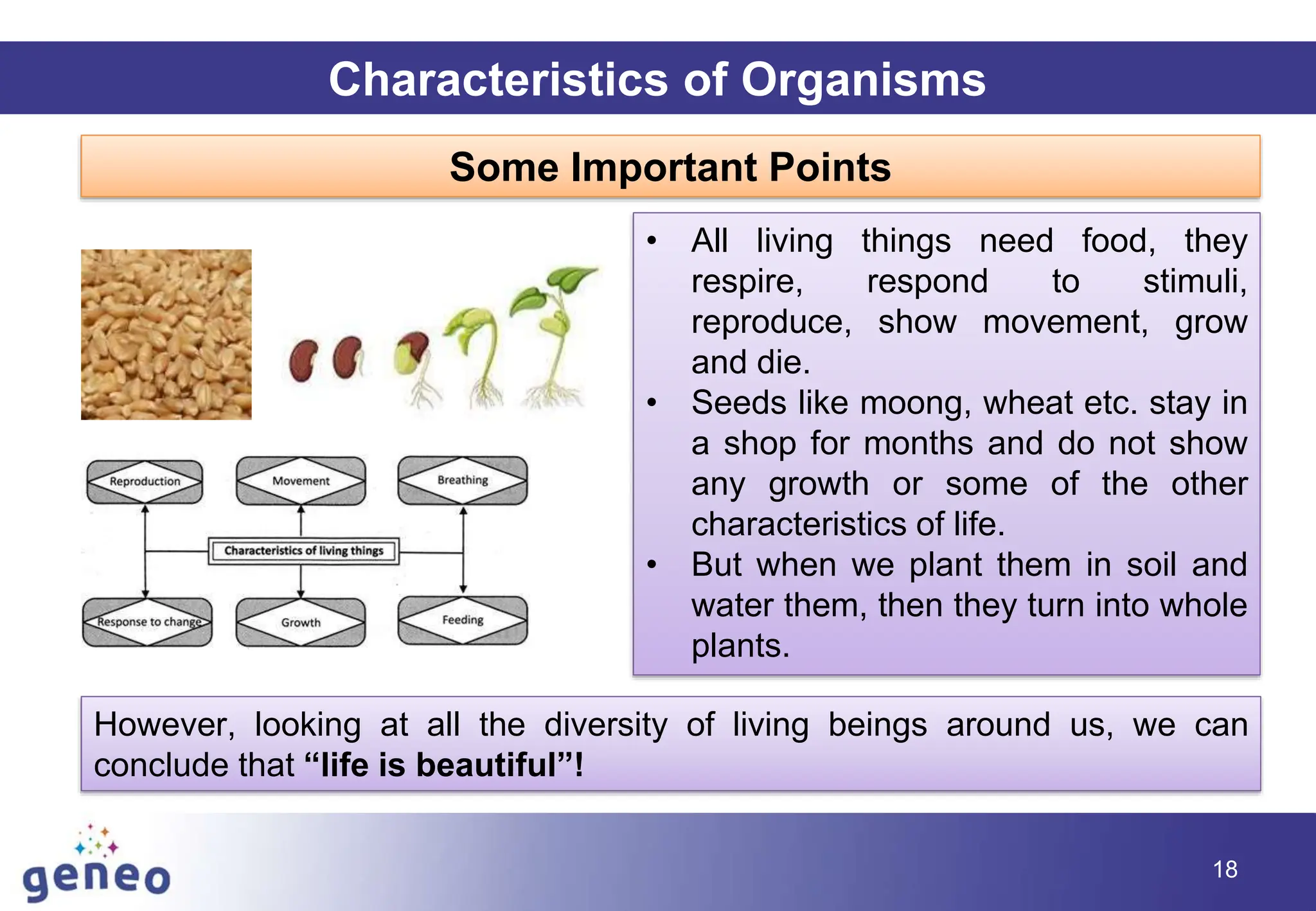 18
Characteristics of Organisms
Some Important Points
• All living things need food, they
respire, respond to stimuli,
reproduce, show movement, grow
and die.
• Seeds like moong, wheat etc. stay in
a shop for months and do not show
any growth or some of the other
characteristics of life.
• But when we plant them in soil and
water them, then they turn into whole
plants.
However, looking at all the diversity of living beings around us, we can
conclude that “life is beautiful”!
 