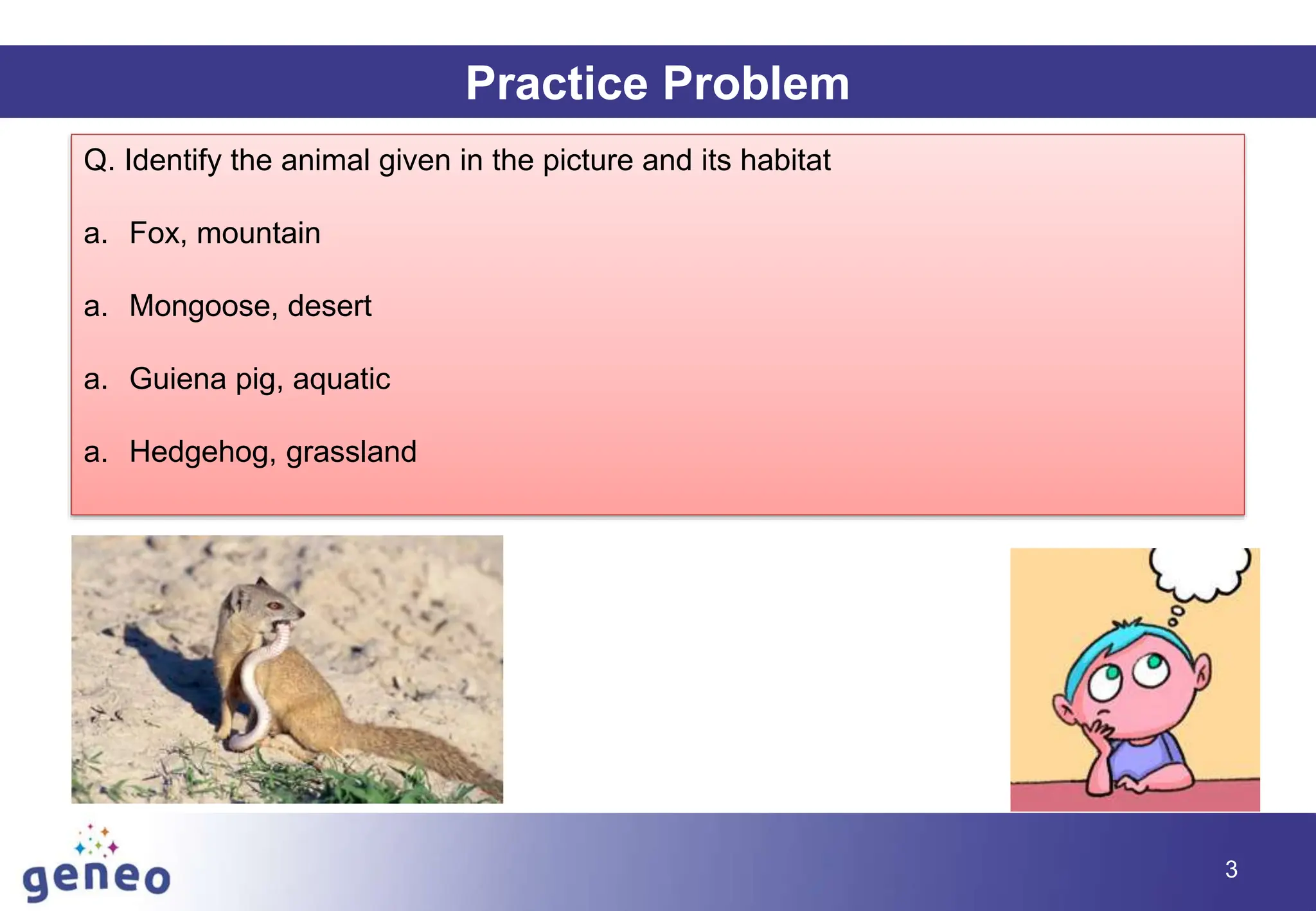 Practice Problem
Q. Identify the animal given in the picture and its habitat
a. Fox, mountain
a. Mongoose, desert
a. Guiena pig, aquatic
a. Hedgehog, grassland
3
 