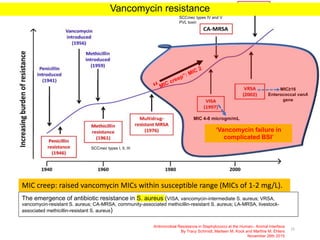 The emergence of antibiotic resistance in S. aureus (VISA, vancomycin-intermediate S. aureus; VRSA,
vancomycin-resistant S. aureus; CA-MRSA, community-associated methicillin-resistant S. aureus; LA-MRSA, livestock-
associated methicillin-resistant S. aureus)
15
Antimicrobial Resistance in Staphylococci at the Human– Animal Interface
By Tracy Schmidt, Marleen M. Kock and Marthie M. Ehlers
November 26th 2015
SCCmec types IV and V
PVL toxin
SCCmec types I, II, III
Vancomycin resistance
‘Vancomycin failure in
complicated BSI’
MIC 4-8 microgm/mL
MIC≥16
Enterococcal vanA
gene
MIC creep: raised vancomycin MICs within susceptible range (MICs of 1-2 mg/L).
 