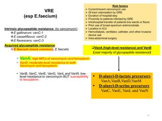 VRE
(esp E.faecium)
Intrinsic glycopeptide resistance: (to vancomycin)
E gallinarum: vanC-1
E casseliflavus: vanC-2
E flavescens: vanC-3
Acquired glycopeptide resistance:
E.faecium (more common), E.faecalis
• VanA: high MICs of vancomycin and teicoplanin
• VanD: moderate-level resistance to both
Vacomycin and teicoplanin
• VanB, VanC, VanE, VanG, VanL and VanN: low-
level resistance to vancomycin BUT susceptibility
to teicoplanin.
18
 D-alanyl-D-lactate precursors
VanA,VanB,VanD,VanM
 D-alanyl-D-serine precursors
VanC, VanE, VanL and VanN
VanA (high-level resistance) and VanB
(vast majority of glycopeptide resistance)
Risk factors
 Current/recent vancomycin use
 Gl tract colonization by GRE
 Duration of hospital stay
 Proximity to patients infected by GRE
 Intrahospital transfer of patients b/w wards or floors
 Prior use of broad spectrum antimicrobials
 Location in ICU
 Hemodialysis, ventilator, catheter, and other invasive
device use
 Intra-abdominal surgery
 