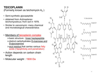 TEICOPLANIN
(Formerly known as teichomycin A2 )
• Semi-synthetic glycopeptide
• obtained from Actinoplanes
teichomyceticus; from soil in 1978.
• Similar to vancomycin: many chemical
and microbiological characteristics
• Members of teicoplanin complex
basic structure : linear heptapeptide
distinct carbohydrates D-mannose and
D-glycosamine
acyl residue that carries various fatty
acids (↑lipophilicity and penetration)
• Action depends on carbon chain
length
• Molecular weight : 1900 Da
19
 