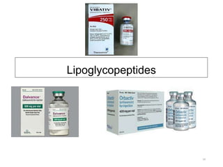 Lipoglycopeptides
.
24
 