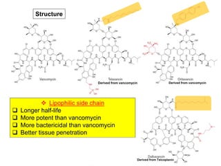 25
 Lipophilic side chain
 Longer half-life
 More potent than vancomycin
 More bactericidal than vancomycin
 Better tissue penetration
Structure
Derived from vancomycin Derived from vancomycin
Derived from Teicoplanin
 