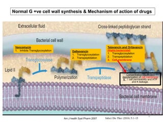 Vancomycin
1. Inhibits Transglycosylation
Telavancin and Oritavancin
(Highly bactericidal)
1. Transglycosylation
2. Transpeptidation
3. Cell membrane
Dalbavancin
1. Transglycosylation
2. Transpeptidation
Concentration-dependent
depolarization of cell membrane
& , ↑ cell permeability and ATP
and K leakage.
Normal G +ve cell wall synthesis & Mechanism of action of drugs
Am J health Syst Pharm 2007
26
 