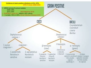 3
Incidence of gram positive infections in ICU: 40%.
EPIC II study JAMA 2009
 MRSA among S aureus isolates:
2009: 29%
2014: 40% PloS Medicine 2016
 EUROBACT study 2012: MRSA in 50% cultures
 ↑ mortality (16%) in GPIs Clinical Infectious Diseases 2018
 