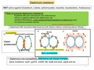 34
Risk of acquired daptomycin resistance:
patients with prior vancomycin use: enterococcus
Even in patients without prior daptomycin use
VISA/hVISA Strains: cross-resistance/heteroresistance to daptomycin seen
If retained prosthetic devices
Choo EJ et al Infect Chemother 2016
• Daptomycin non-susceptibility (Membrane cell charge changes)
Gene mutations: mprF, yycFG, vraSR, Dlt, rpoB and rpoC, pgsA and cls
NOT active against Clostridium, Listeria, actinomycetes, nocardia, mycobacteria, rhodococcus
Daptomycin resistance
Daptomycin MIC should be determined by broth dilution method; containing calcium 50mg/L
E fecalis
septum
susceptible
Non- susceptible
Diverted from septum & trapped in cell membrane
 
