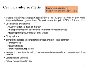 Common adverse effects
• Muscle toxicity (reversible)/rhabdomyolysis- ↑CPK level (monitor weekly; more
frequently if renal dysfunction). Discontinue daptomycin if CPK ≥ 5 times ULN
• Eosinophilic pneumonia
Occurs after 10 days of therapy
high percentage of eosinophils in bronchoalveolar lavage
Eosinophilic pneumonia at lung biopsy
• GI symptoms
• Symptoms related to peripheral nervous system (less common)–
Paresthesias
Dysesthesias
Peripheral neuropathies
• serious skin reactions, including drug reaction with eosinophilia and systemic symptoms
(DRESS)
• Deranged liver functions
• Falsely high prothrombin time
35
Daptomycin and statins
Daptomycin and aminoglycosides
 