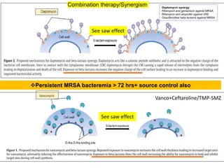 36
Daptomycin synergy:
Rifampicin and gentamicin against MRSA
Rifampicin and ampicillin against VRE
Oxacillin/other beta lactams against MRSA
Combination therapy/Synergism
Vanco+Ceftaroline/TMP-SMZ
Persistent MRSA bacteremia > 72 hrs+ source control also
See saw effect
See saw effect
 